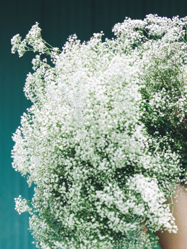 ANNA BARSEGHIAN - PORTFOLIO - EDITORIAL